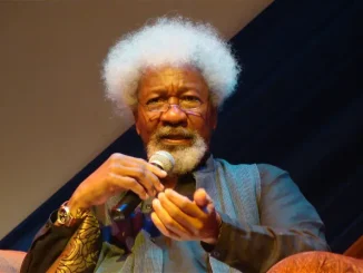 Technology Creating New Generations Of Illiterates In Nigeria – Wole Soyink