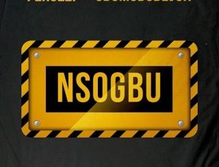 Peruzzi – Nsogbu Ft. Odumodublvck (Stream Music Mp3 Download)