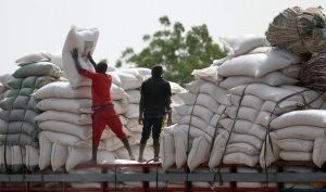 FG: Distribution Of Grains Nationwide Will Commence To Reduce The Impacts Of Hardship