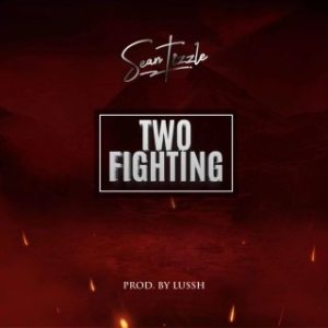 Sean Tizzle – Two Fighting (Stream Music Mp3 Download)