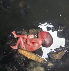 Day-Old Baby Found In Manhole In Port Harcourt (Viewer’s Discretion)