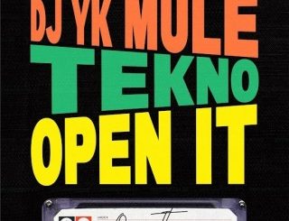 Dj Yk Mule – Open It Ft. Tekno (Stream Music Mp3 Download)