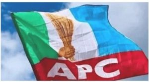 Economy: “We’re Busy Clearing Your Rots” – APC To PDP Governors