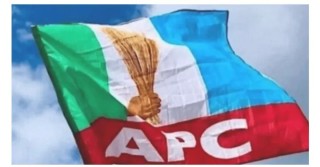 Economy: “We’re Busy Clearing Your Rots” – APC To PDP Governors