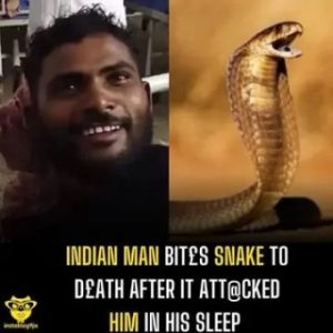 Indian Man Bites Snake To Death After It Attacked Him In His Sleep