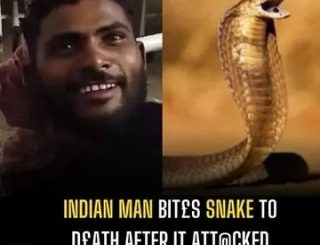 Indian Man Bites Snake To Death After It Attacked Him In His Sleep