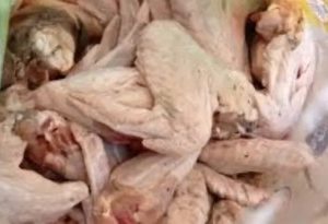 Lagos Task Force Arrests 8 For Selling Contaminated Turkey Trashed By Customs At A Dumpsite