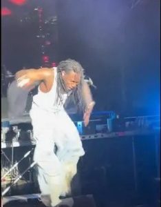 Moment Burna Boy Fell Off Stage While Performing (Video)