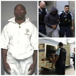 Nigerian man arrested for allegedly running $9m drug ring from immigration detention centre in Australia (video)