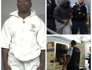 Nigerian man arrested for allegedly running $9m drug ring from immigration detention centre in Australia (video)