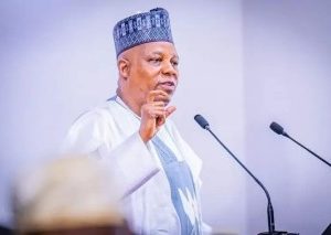 Protest: You Don’t Know Where This Will End – VP Shettima Tells Nigerians