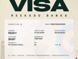 Reekado Banks – Visa (Stream Music Mp3 Download)