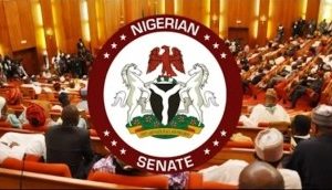 Senate Seeks Inclusion Of Domestic Servants In New National Minimum Wage Scheme