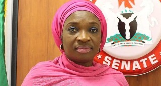 Senator Uche Ekwunife Urges Residents To Patronise Enugu UK Visa Centre