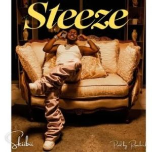 Skiibii – Steeze (Stream Music Mp3 Download)