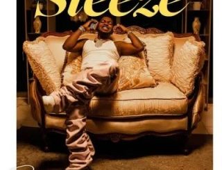 Skiibii – Steeze (Stream Music Mp3 Download)