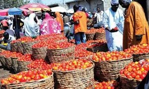 We’ll Regulate Price Of Imported Foodstuffs — FG