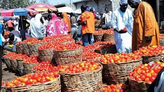 We’ll Regulate Price Of Imported Foodstuffs — FG