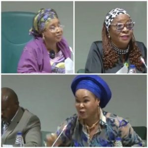 Women Affairs Minister And Reps Members In Heated Exchange Of Words Over Corruption Allegations