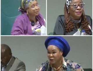 Women Affairs Minister And Reps Members In Heated Exchange Of Words Over Corruption Allegations