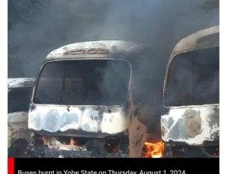 18 Suspects Arrested Over Vandalism In Yobe During Hunger Protest