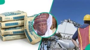 Katsina Billionaire Begins Cement Production, Builds $1.5bn Plant In Kogi