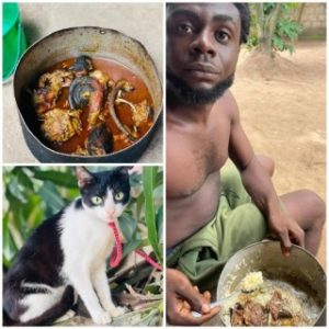 Man kills his pet and uses it to prepare a meal for his friends on his birthday