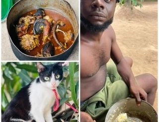 Man kills his pet and uses it to prepare a meal for his friends on his birthday