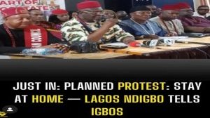 Planned Protest: Stay At Home — Lagos Ndigbo Tells Igbos