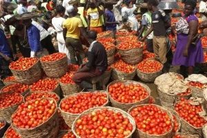 Prices Of Tomatoes, Pepper Crash From ₦130,000 To ₦60,000 Per Basket – Rewane