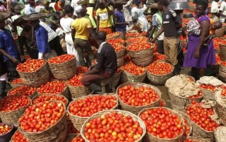 Prices Of Tomatoes, Pepper Crash From ₦130,000 To ₦60,000 Per Basket – Rewane