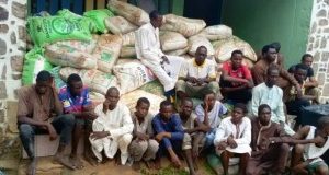 Protest: Police Arrest 212 Suspected Hoodlums, Recovers Fertilizers, Other Items