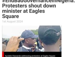 Protesters Shout Down Minister, Ayodele Olawande, At Eagles Square