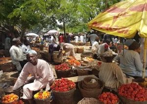 Socio-Economic Activities Return To Kaduna, Kano As Residents Shun Protests