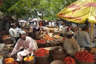 Socio-Economic Activities Return To Kaduna, Kano As Residents Shun Protests