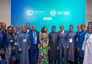 ‘Some Officials Have No Business There’ — FG To Cut COP29 Budget By N10bn