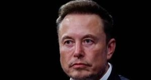 Elon Musk Ho Head Department Of Government Efficiency