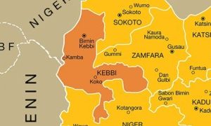 New Terror Group, Lakurawa, Kills 15, Rustles 100 Cow In Kebbi