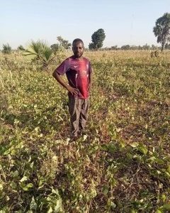 Taraba Man Laments After Thieves Invaded His Farm & Harvested All The Beans (Photos)