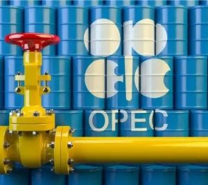 Dangote Refinery Fuel Production Impacting European Markets – OPEC