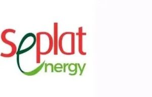 FG Sues Seplat Energy, CEO, 11 Top Executives For Alleged $37.5m Tax Evasion