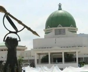 Nigeria Fooling Itself Over Border Closure – National Assembly