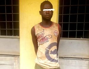 Ogun Burglar Hits Female Resident With Iron Rod, Steals Valuables Worth ₦200k