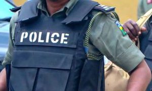 Police Arraign Man For Allegedly Stealing Pigs In Ekiti