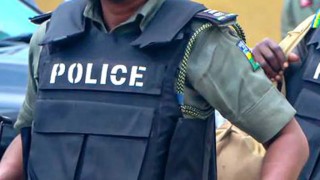 Police Arraign Man For Allegedly Stealing Pigs In Ekiti