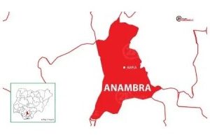 Tension In Anambra As Govt Officials Destroy Crops In Forest Reserve