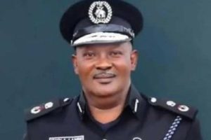 Victims Are Lured Online With Business-Class Flight Tickets, Luxurious Five-Star Hotels, Money – Lagos Police Uncover New Trends In Kidnapping Women