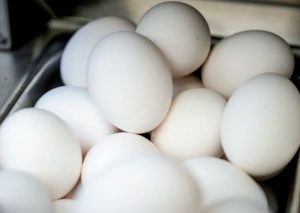 About 100,000 Eggs Worth $40,000 Stolen From Trailer In Pennsylvania