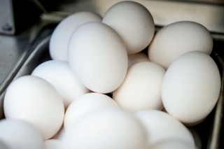 About 100,000 Eggs Worth $40,000 Stolen From Trailer In Pennsylvania