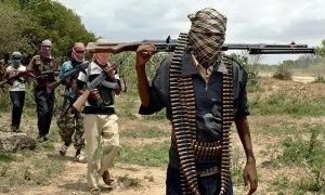 Bandits Kill 16 In Niger Republic Attacks